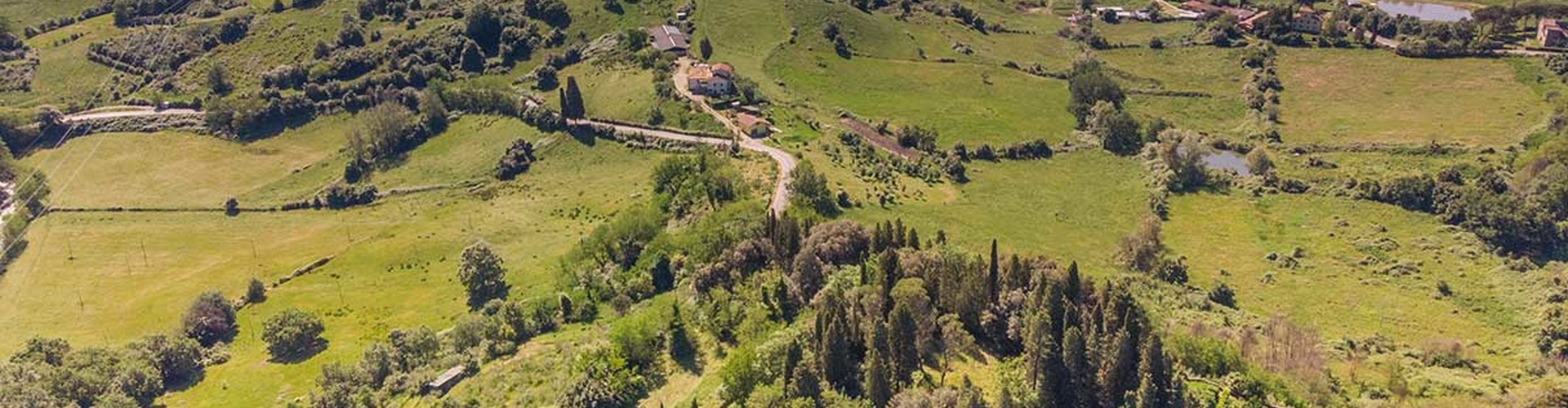 DJI_0966.jpg